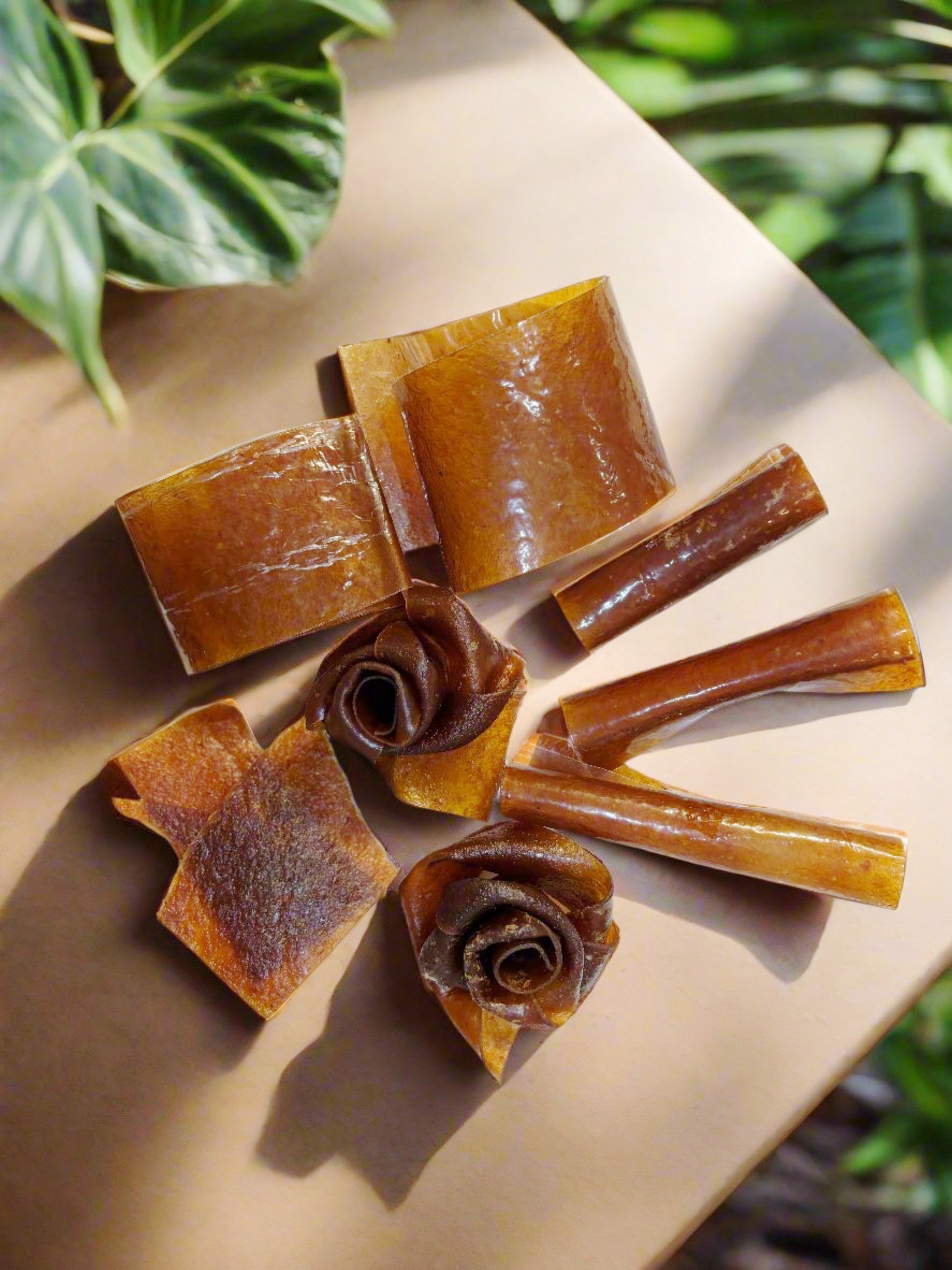 Fruit leather, Tasty Vita, Canada