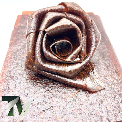 Tasty Vita green plum fruit leather (Iranian Gojeh Sabz Lavashak), Natural fruit snack, handmade, no additives, healthy, no sugar snack, vegan, vegetarian, in Canada and the US.