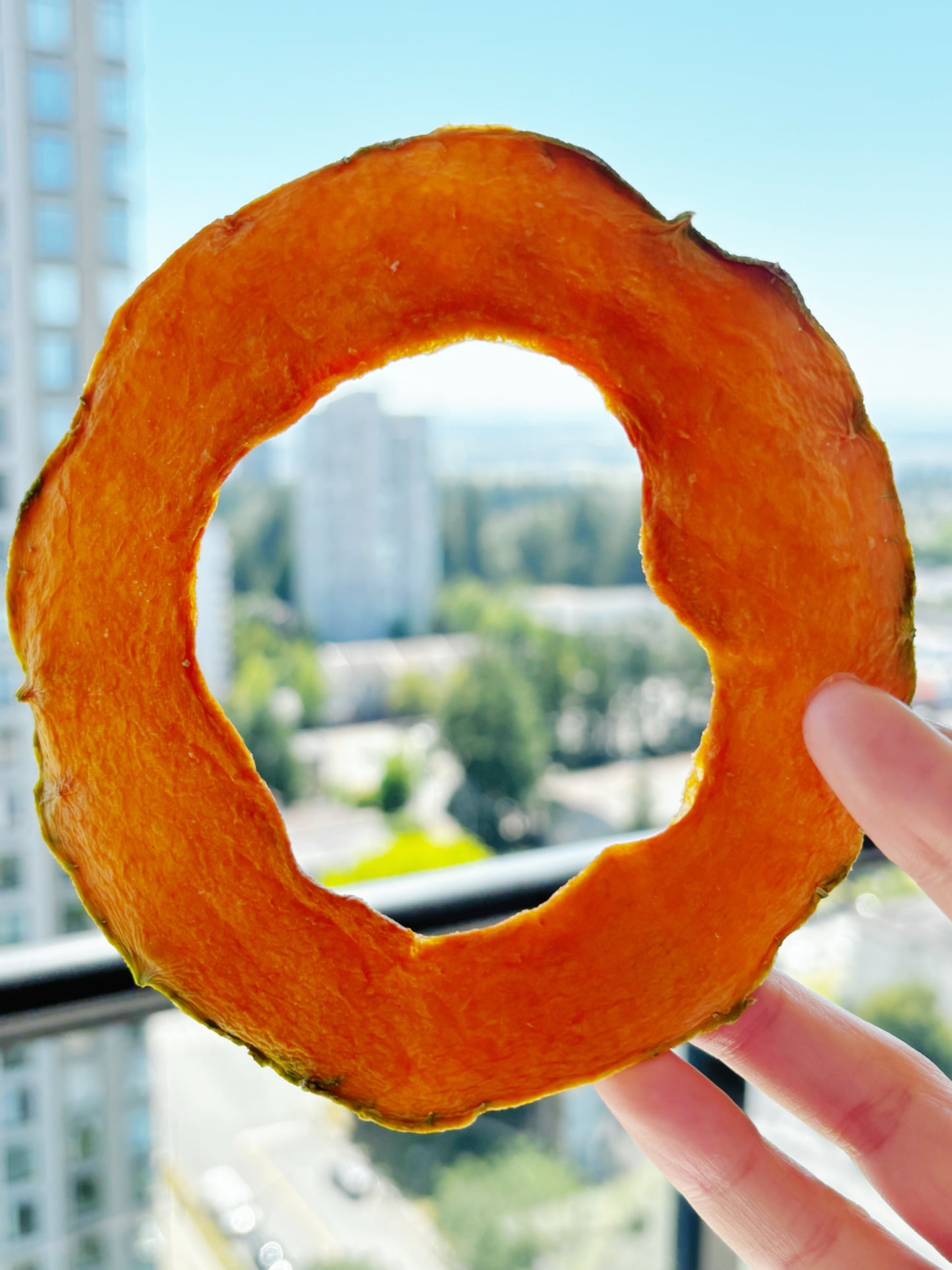 Natural Dried Cantaloupe (Melon)