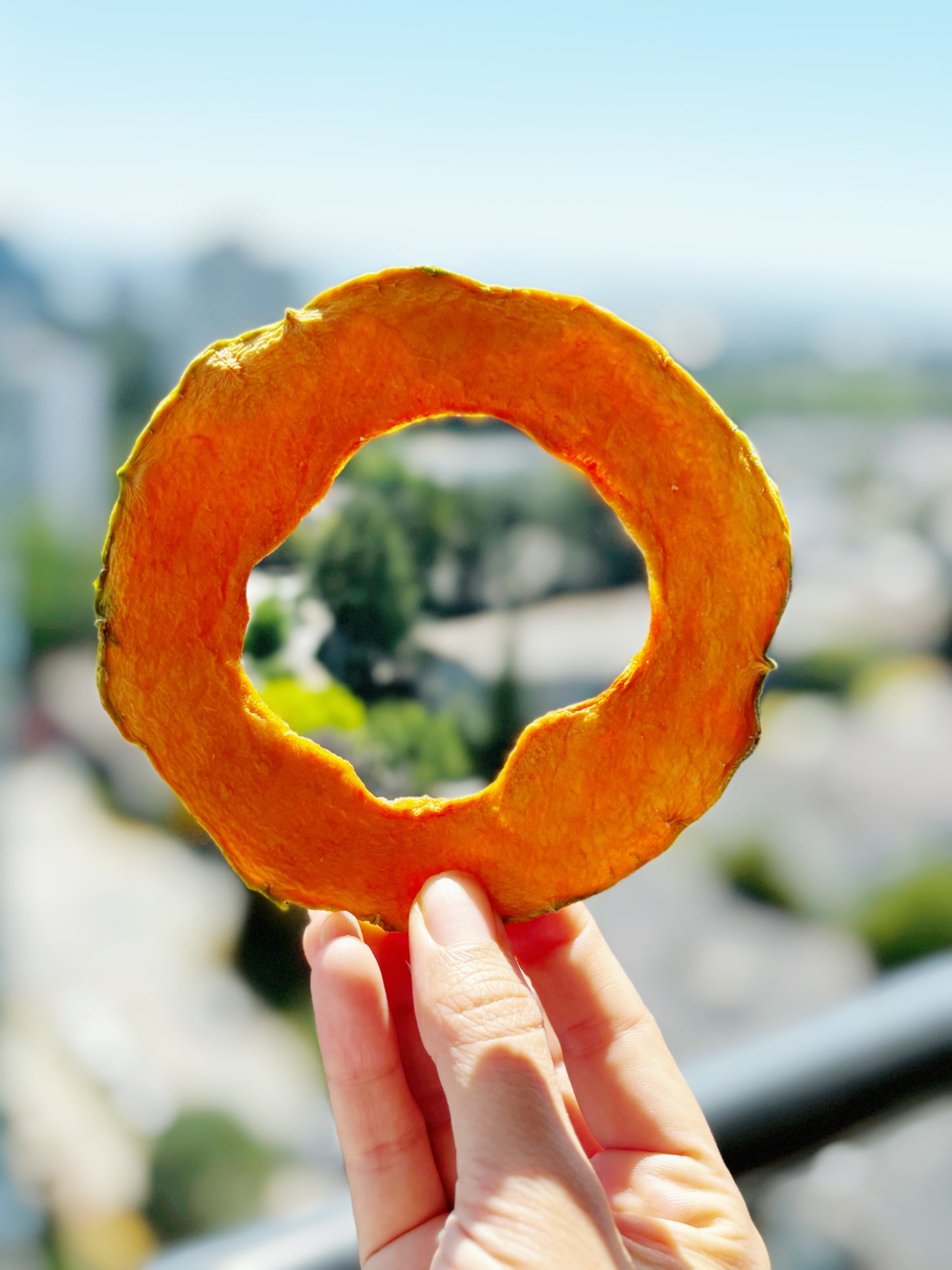 Natural Dried Cantaloupe (Melon)