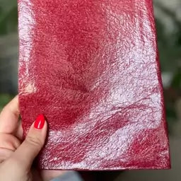 Salted Red Plum Fruit Leather (Lavashak)