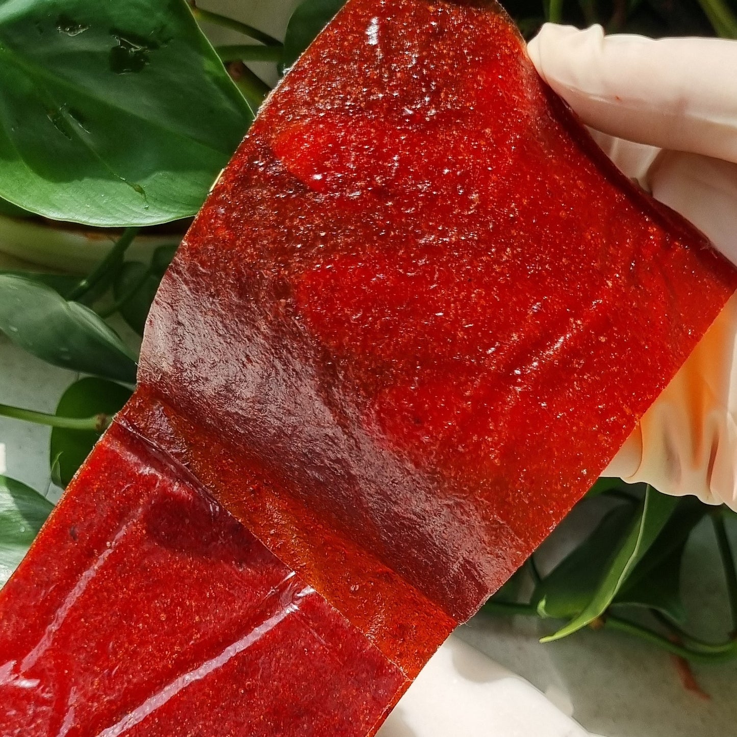 Salted Red Plum Fruit Leather (Lavashak)